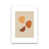 Unframed is unavailable