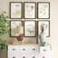 Bridgeton " Wild Flower " 6 - Pieces