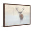 Parvez Taj - Single Picture Frame Print-19701029