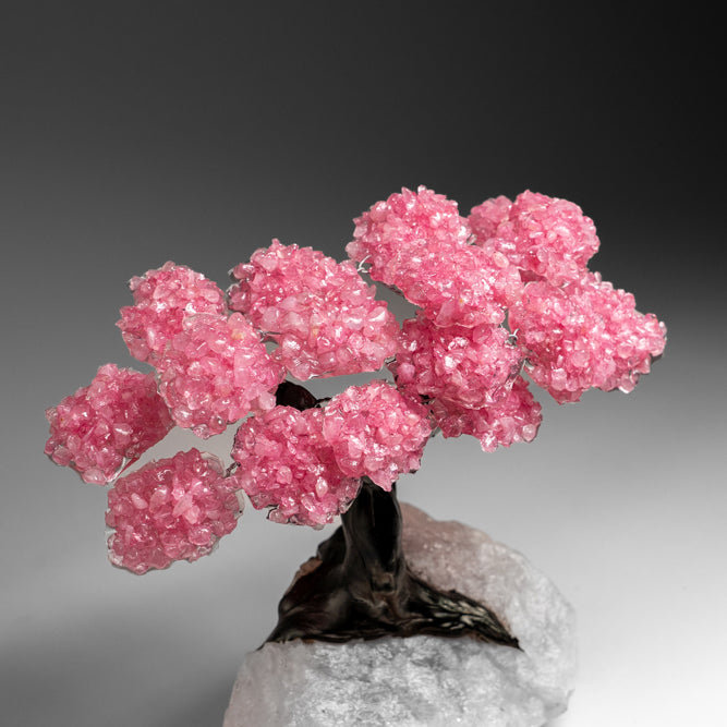 Custom - Genuine Rose Quartz Clustered Gemstone Tree On Rose Quartz Matrix (Unconditional Love Tree)