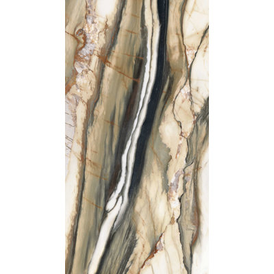 Carreau de porcelaine aspect marbre poli 24 x 48 Oyster