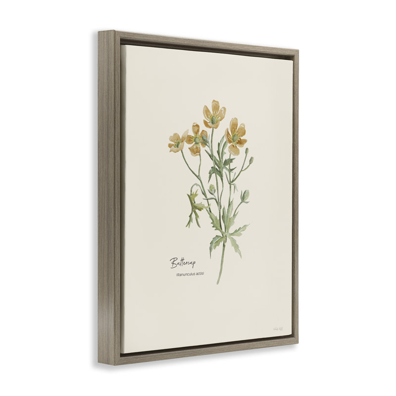 «Simple Buttercup Flowers» par Cindy Jacobs, Brun, H 21 po x l 17 po