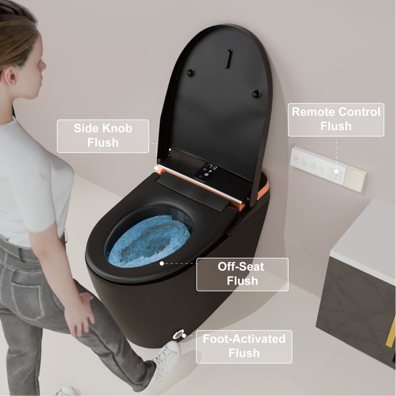 T3MB Uinkoo Smart Toilet, Black