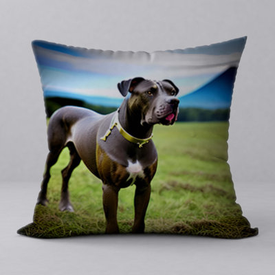 Reversible Throw Pillow