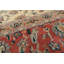 Tapis botanique traditionnel en laine noué à la main ivoire Agra 8 pi 8 po x 12 pi 4 po