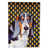 Basset Hound 1