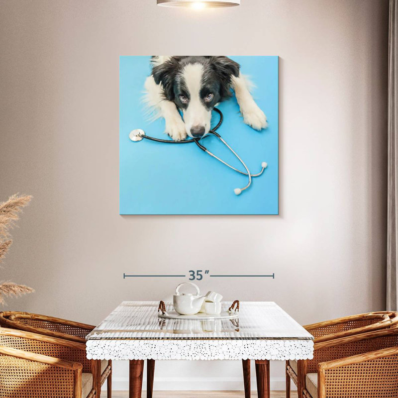 Brampt Dog Doctor, H 36 po x l 36 po