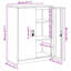 Storage Cabinet-1124211368