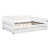 Blanc est en rupture de stock