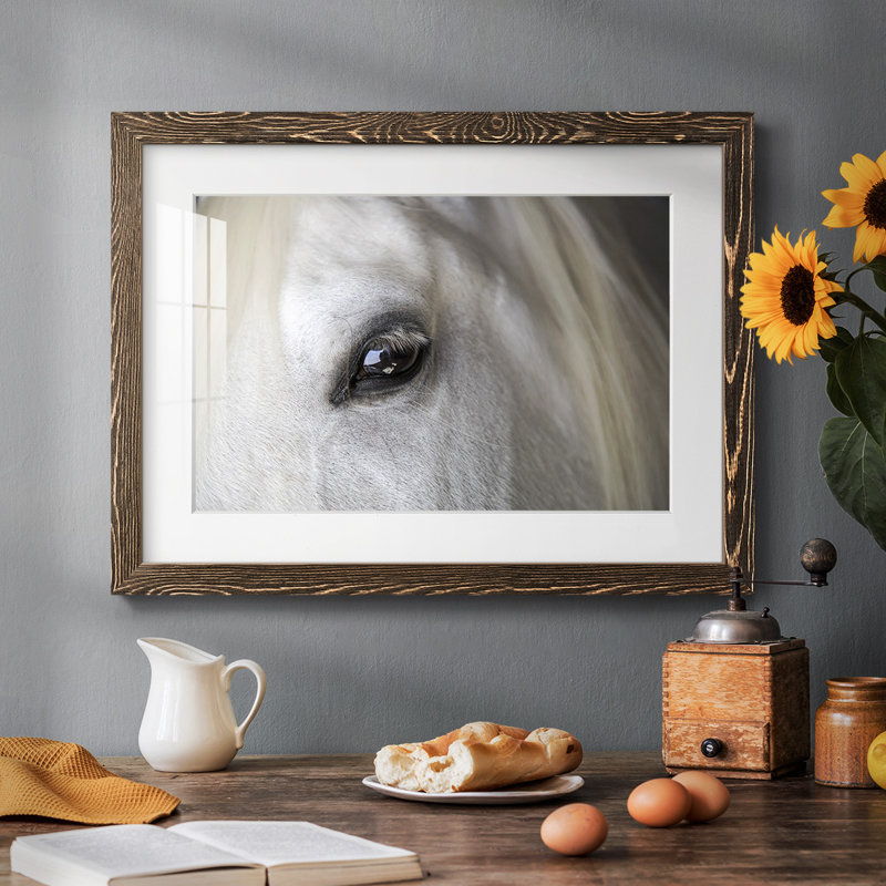 Balearic Island Horse, impression sur papier, Noyer, H 18 po x l 26 po x P 1,5 po