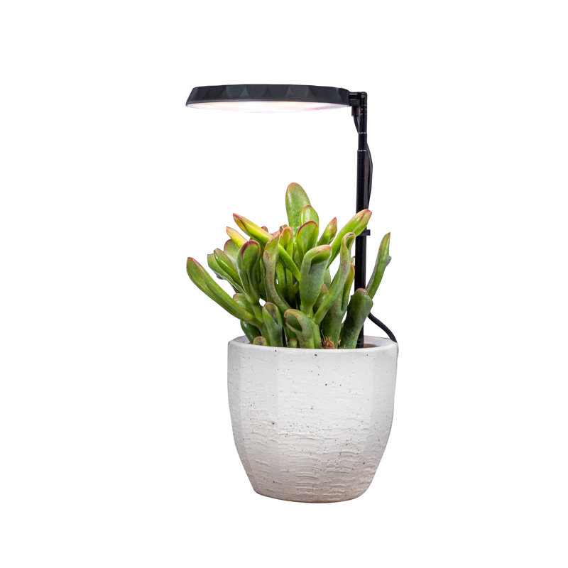 Lumière de croissance AeroGarden - noir, Noir