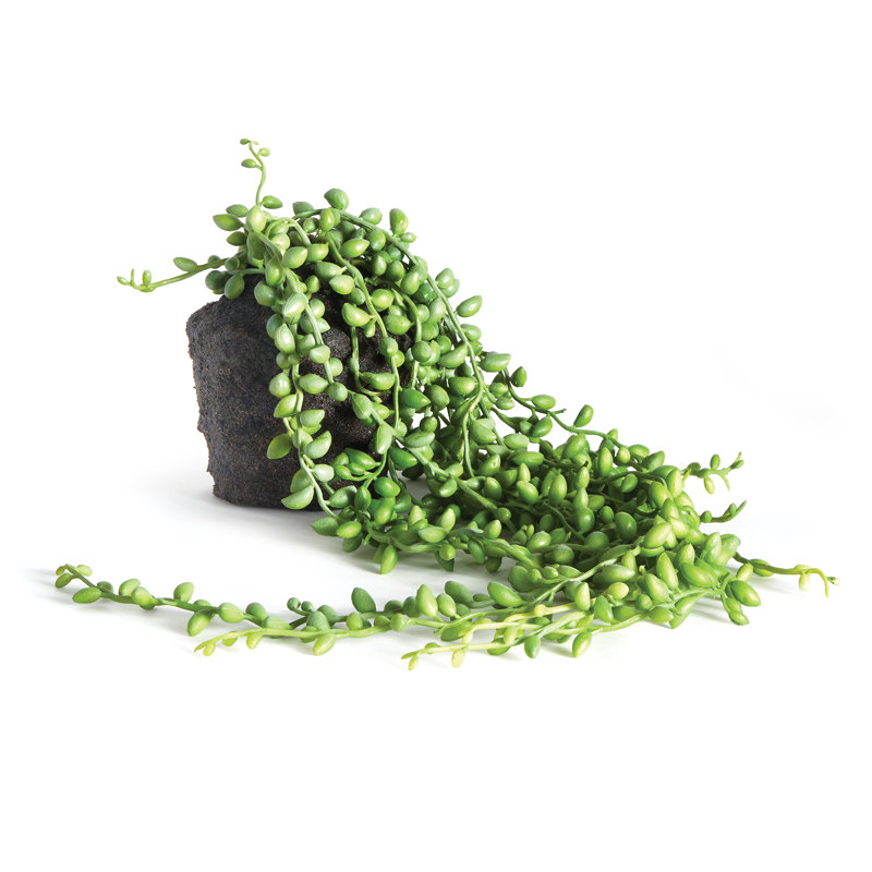 26'' Faux Succulent Plant in Planter