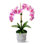 Rosalyn Realtouch Orchid in Cement Vase