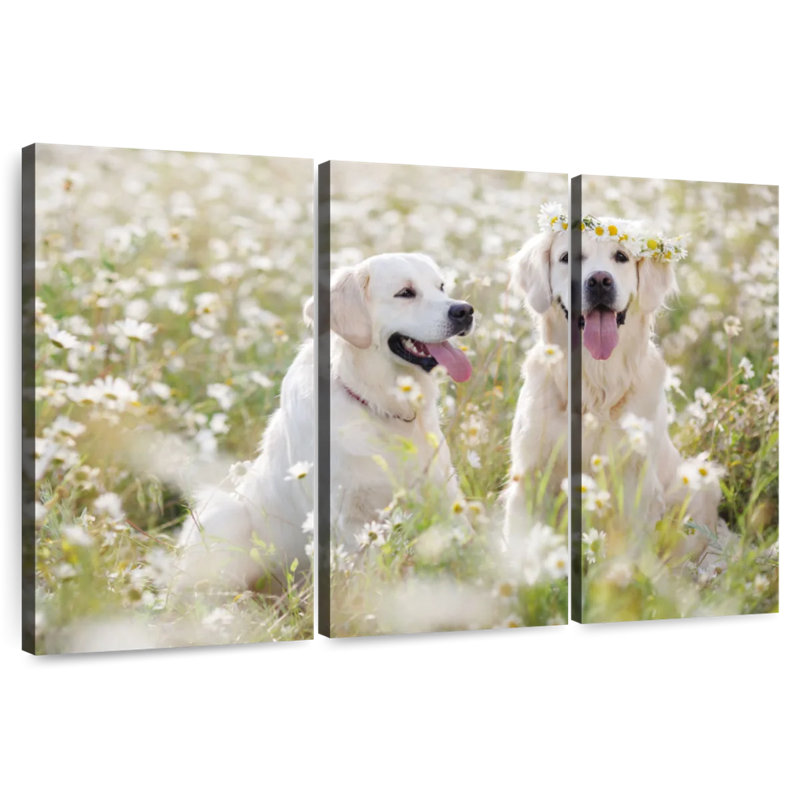 Couple de Golden Retriever, H 14 po x l 23 po