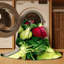  Tapis lavable avec légumes chou-rave-1893669343