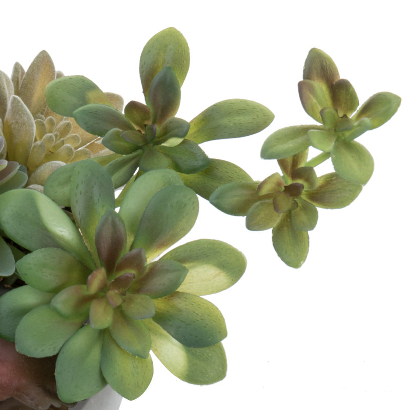 Plantes grasses artificielles en pot 3 po Benita