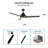 Kylier 52'' Ceiling Fan with LED Lights-811043812