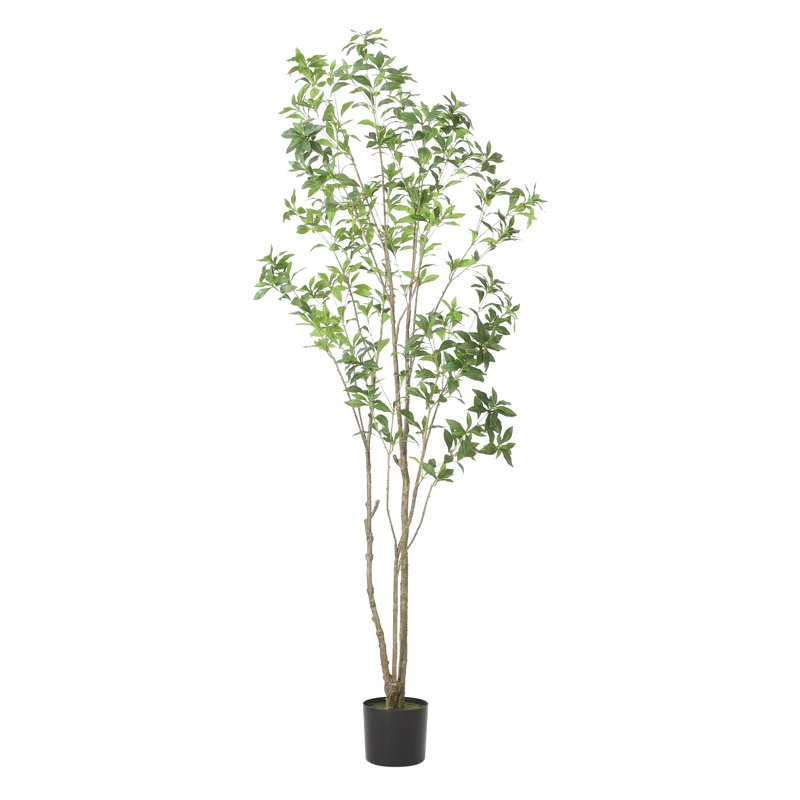82.7'' Faux Eucalyptus Tree in Planter
