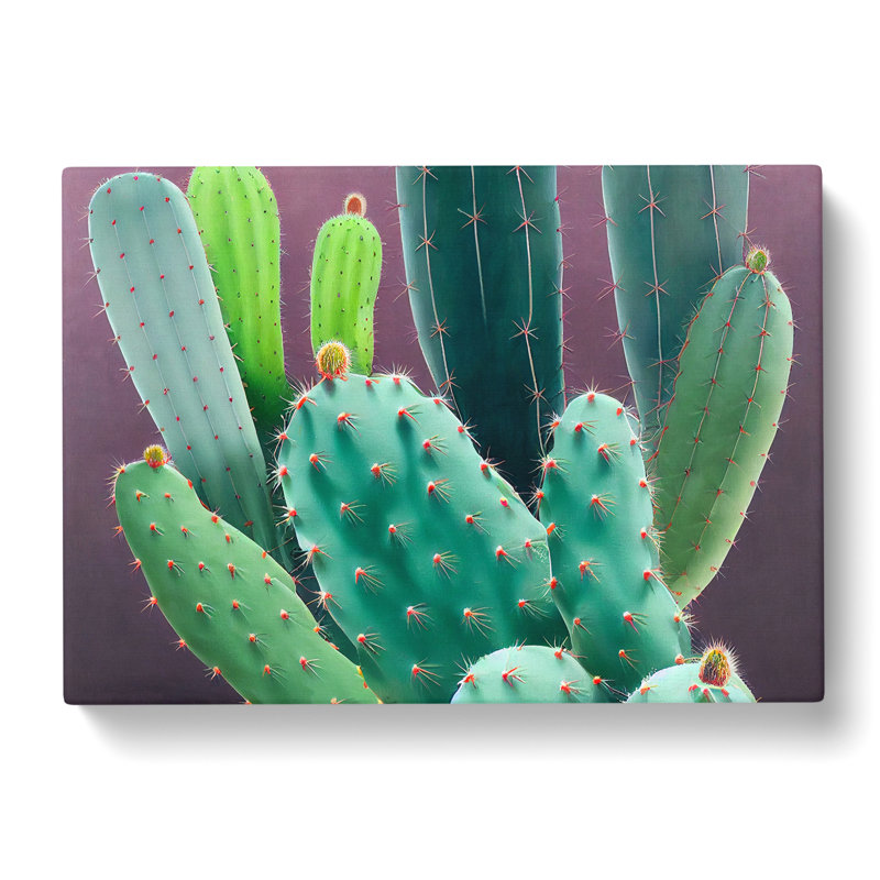 Wonderful Cactus - Wrapped Canvas Print, 35cm H x 50cm W x 3cm D