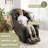 Zero Gravity Full Body Massage Chair, New SL Track, Support AI Voice Control of 6 Massage Modes, with Heating, LED Atmosphere Light and Control Display-1635061841