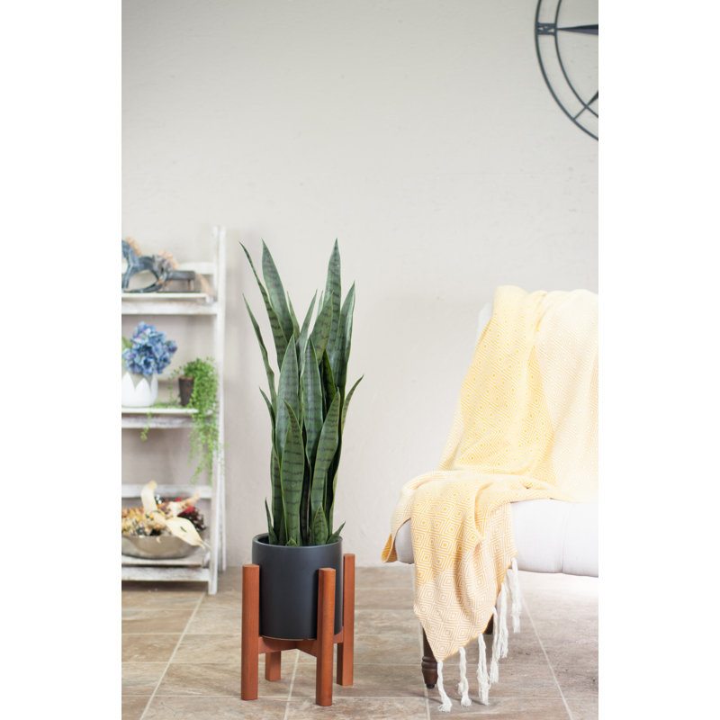 Jardinière en céramique Baraka, H 9 po x l 6,7 po x P 6,7 po (support inclus), Noir / Noyer
