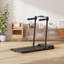 Steel, PP Sports Rack