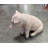 New Born Pig Sitting Life Size Statue