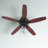 Hartwick 52'' Ceiling Fan with LED Lights