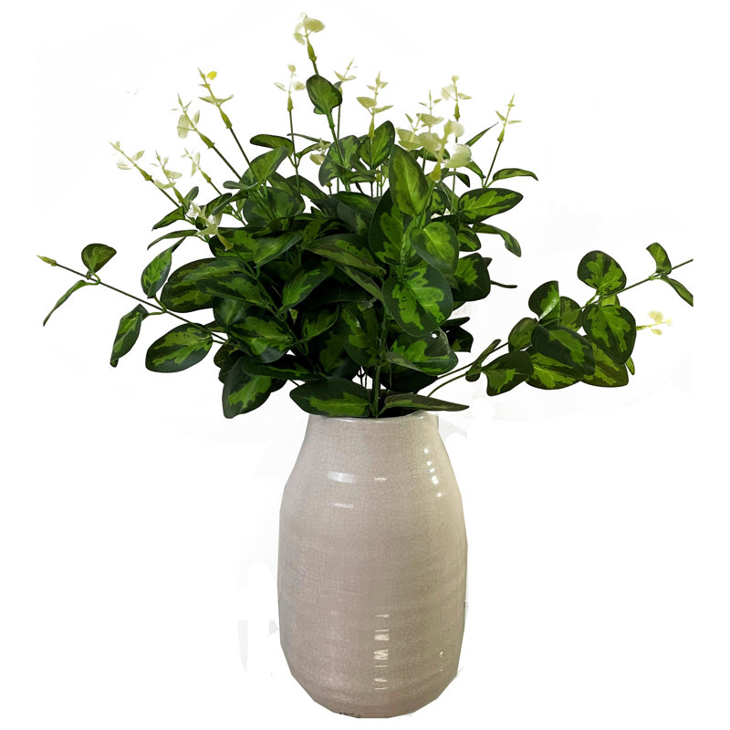 Anastasija Arrangement