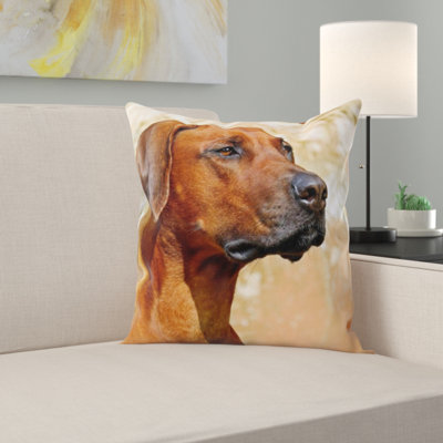 Microsuede Throw Pillow