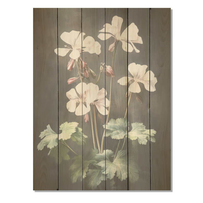 Noir et blanc, géranium, expression minimale I - géraniums, art mural sur bois de pin naturel, H 40 po x l 30 po