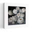 Brilliant White Peonys, reproduction d'art contemporain délicat et abstrait-130642810