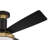 Medeea 52'' Ceiling Fan with LED Lights-181217017