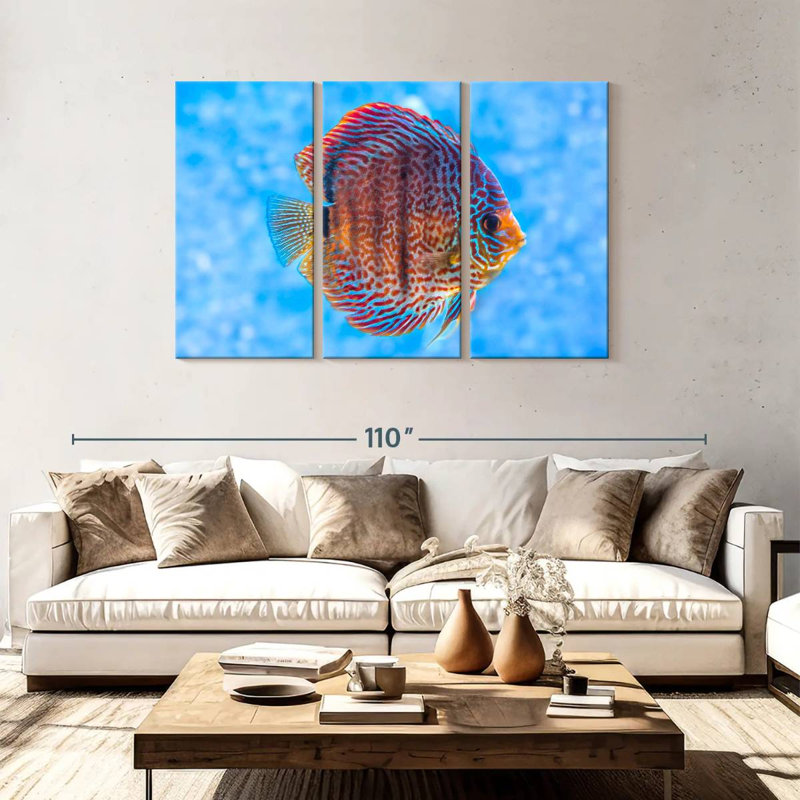 Brampt Freshwater Discus Fish, 48" H x 74" W