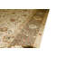 Chantel Oriental Area Rug