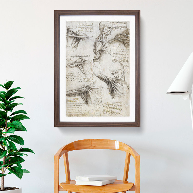 Human Anatomy Vol.3 by Leonardo Da Vinci - Framed Print, 48cm H x 36cm W x 2cm D, Walnut Framed