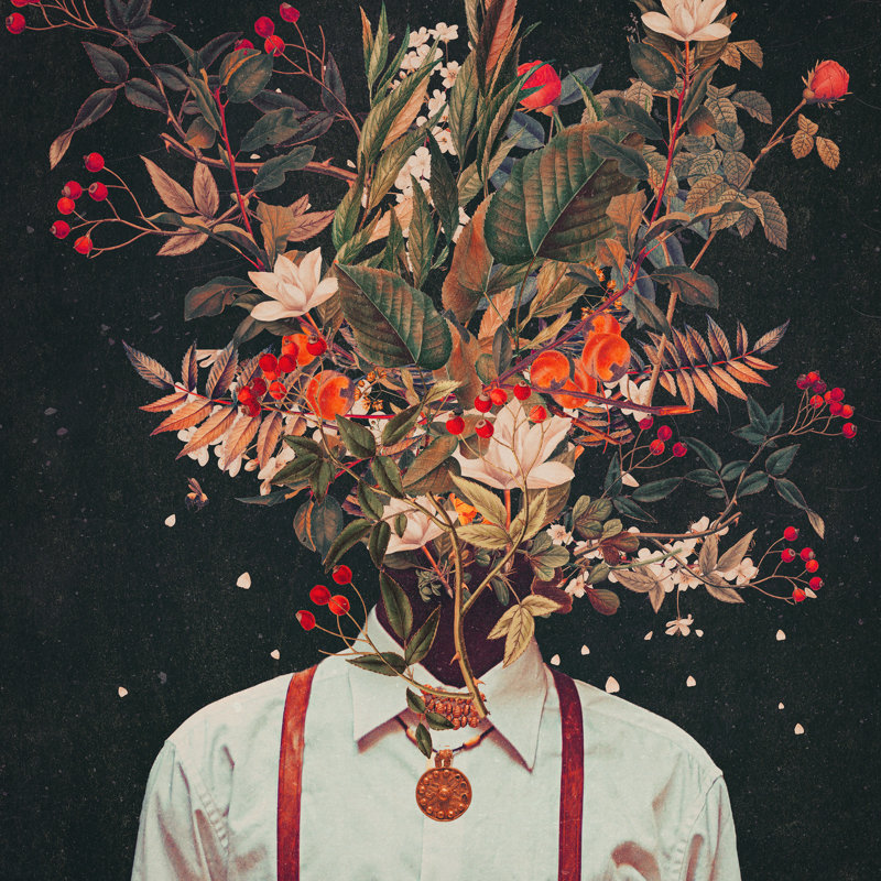 «Foliage I» par Frank Moth - reproduction, H 36 po x l 36 po, Oui, Cadre simple noir