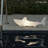 The Bobb Shark Lamp