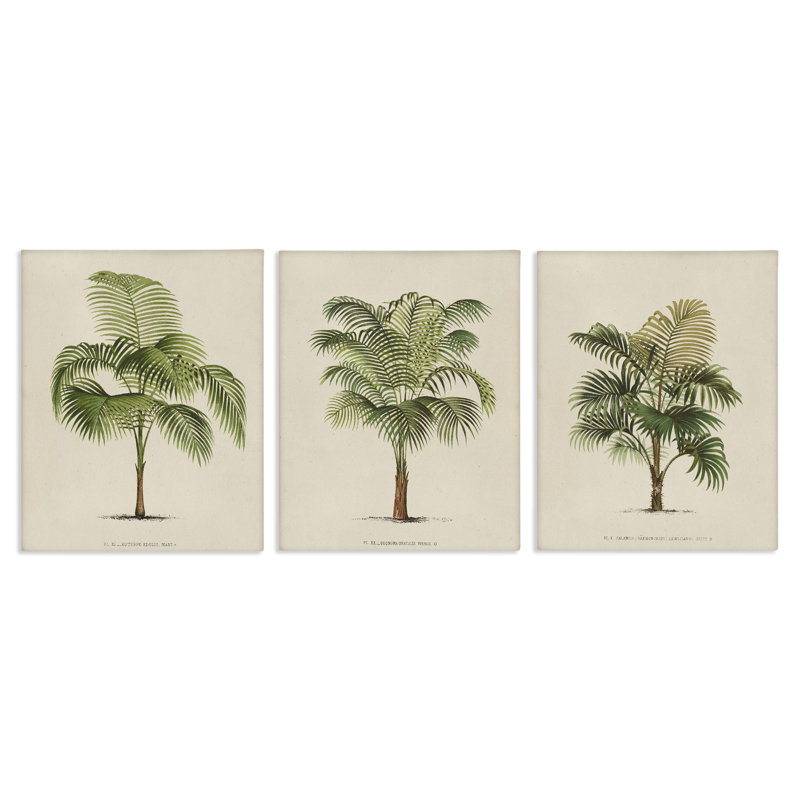 «Les Palmiers Botanical Trio», ensemble de 3 toiles murales par World Art Group, H 20 po x l 16 po