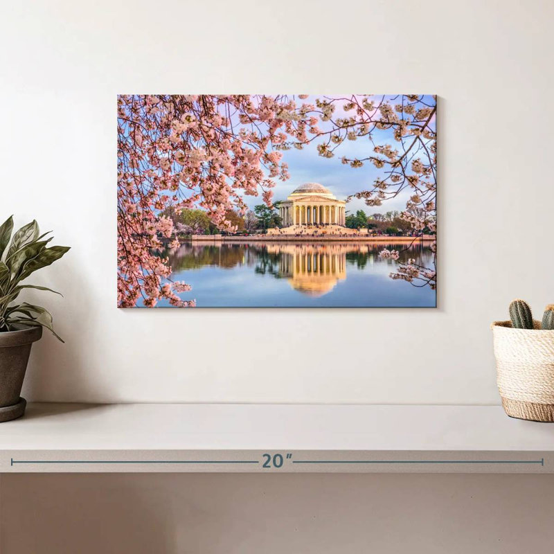 Sireci Washington Cherry Blossoms