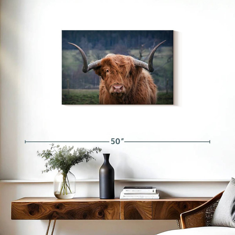 Brampt Wooly Highland Cow, H 20 po x l 30 po