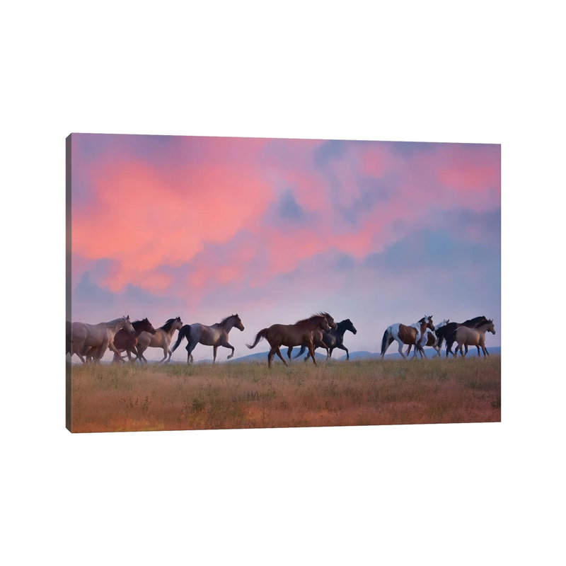 Horse Run VIII by PHBurchett - Wrapped Canvas Print, 30.48 cm H x 45.72 cm W