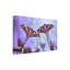 Art sur toile «Bacheli» par Jimmy Hoffman Actias-109335492