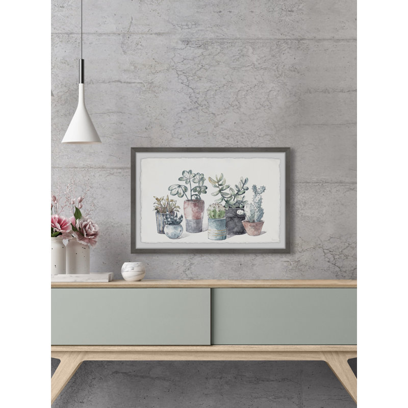 Succulent In Display Planters by Parvez Taj - Single Picture Frame Painting, 20cmH x 30cmW