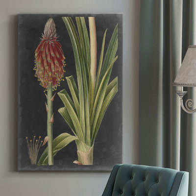 Dramatic Tropicals IV " Dramatic Tropicals IV " Painting Print