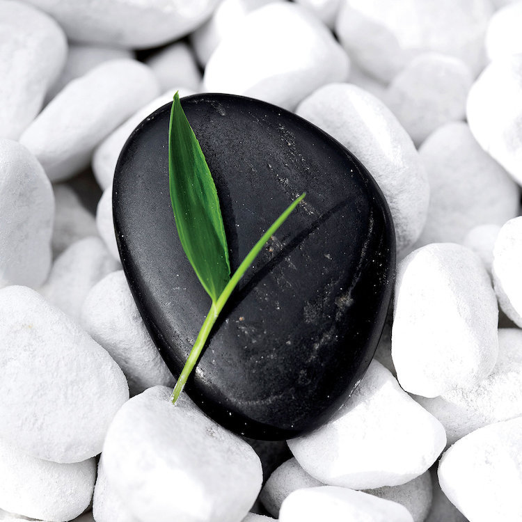 «Zen Stone», reproduction de photo sur toile, H 18 po x l 18 po x p 1,5 po, Toile tendue