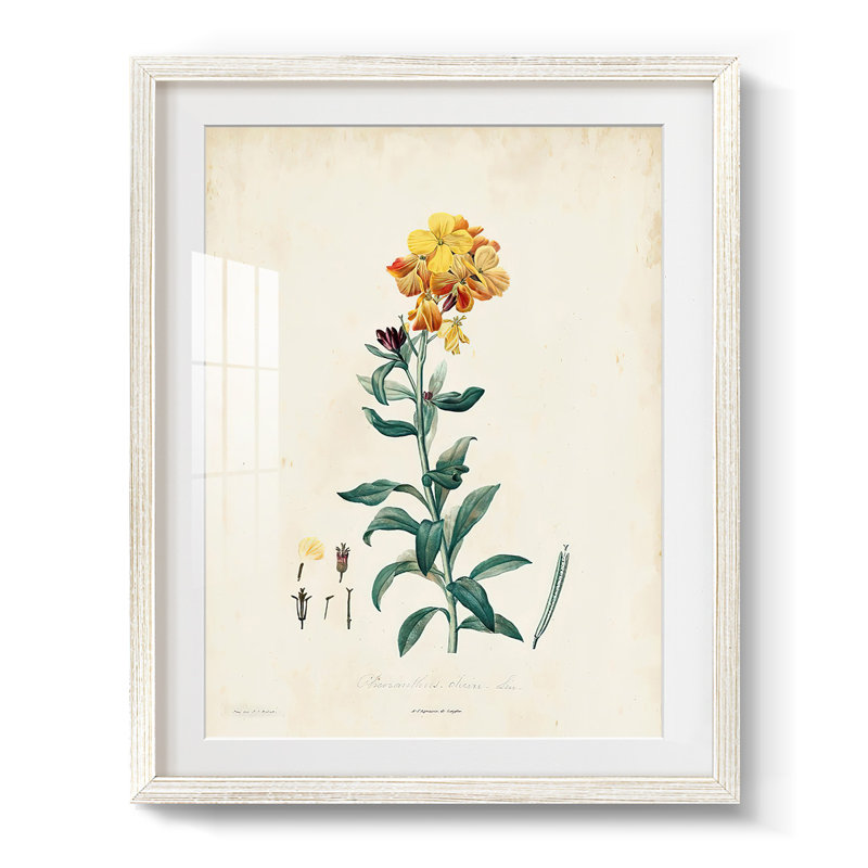 Wilfred -Gallery Wrapped Canvas, 25.5" H x 17.5" W, White