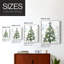 Coastal Christmas Shell Collection, reproduction encadrée B - bois massif-1630518338-1630518356