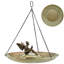 Alorie Copper Hanging Birdbath