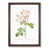 Walnut Framed selected